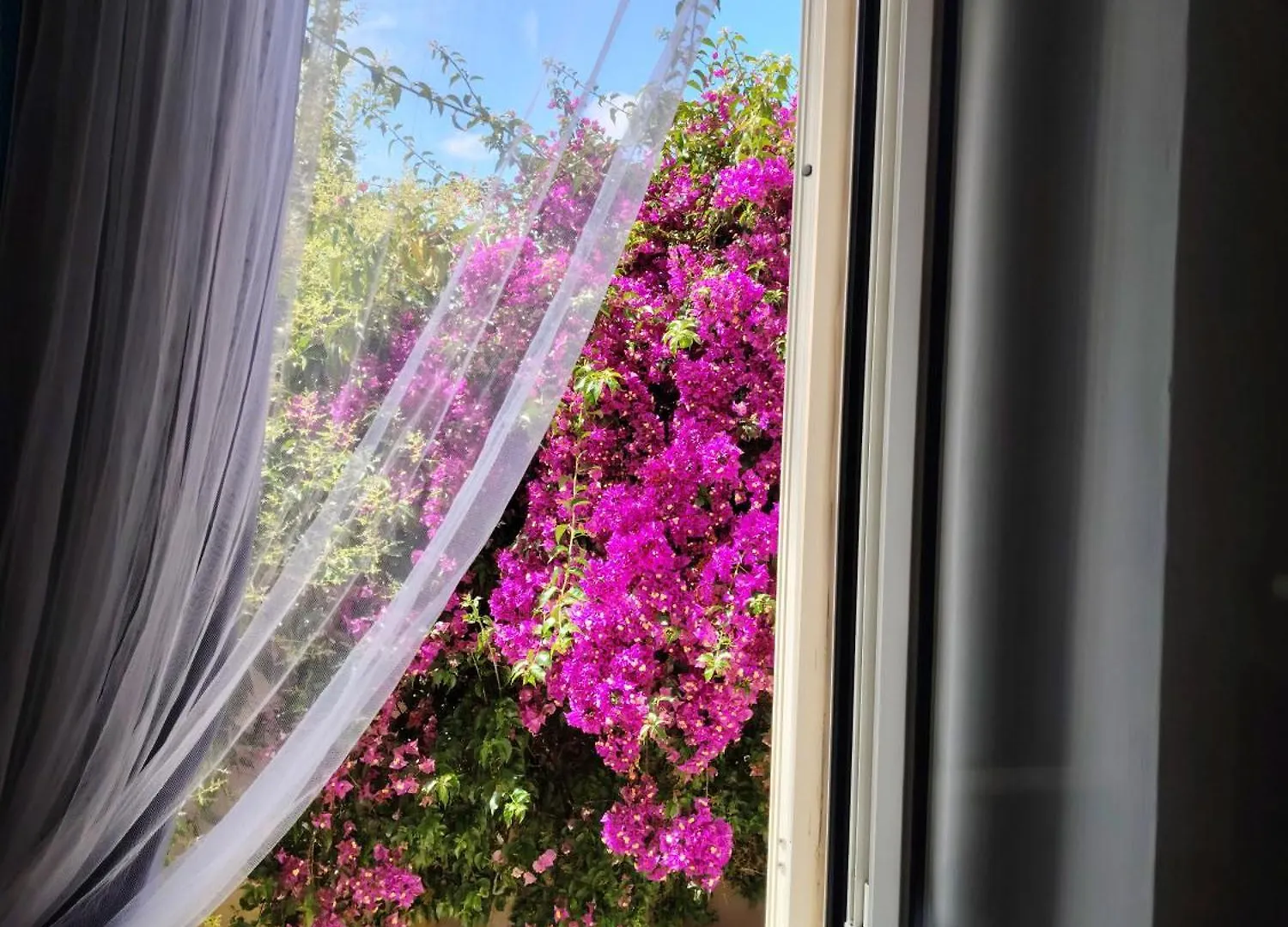 Casa Loriana Apartment San Vincenzo Italy